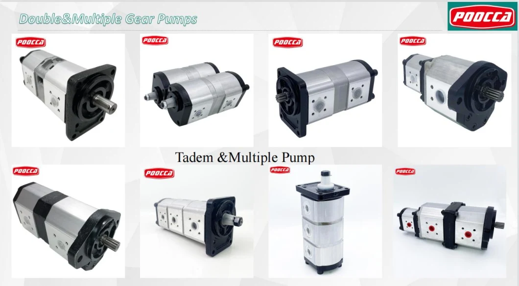 Manufacture Sunny Rexroth Replacement Hg0 Hg1 Hg2 Pgh2 Pgh3 Pgh4 Pgh Series Hydraulic Internal Gear Pump