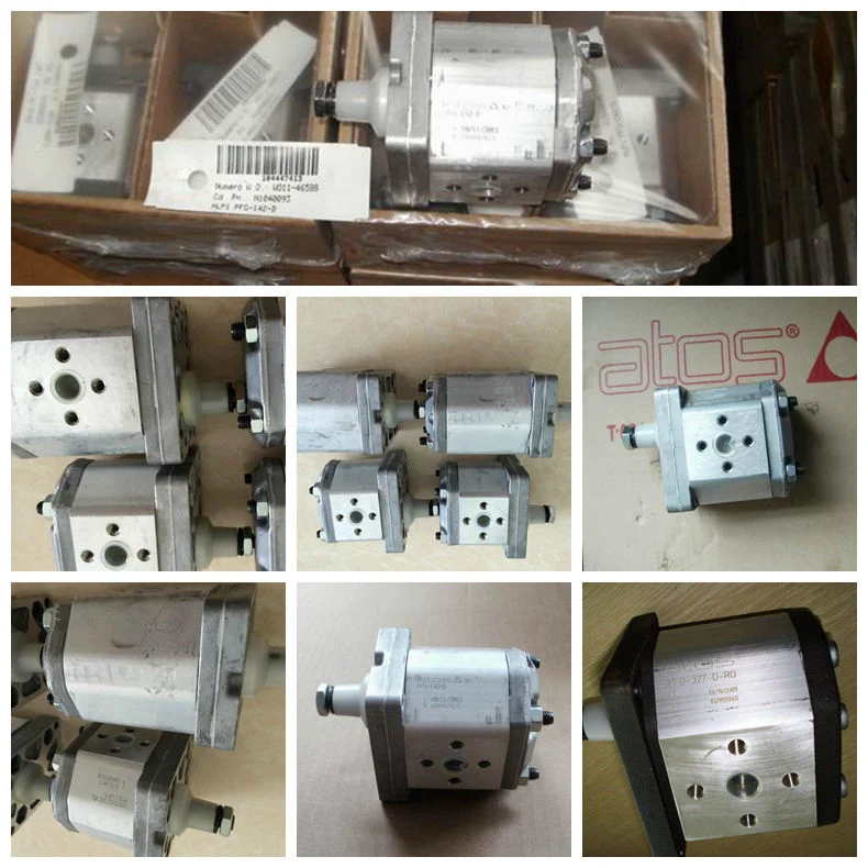 Atos Pdg Gear Hydraulic High Pressure Pump