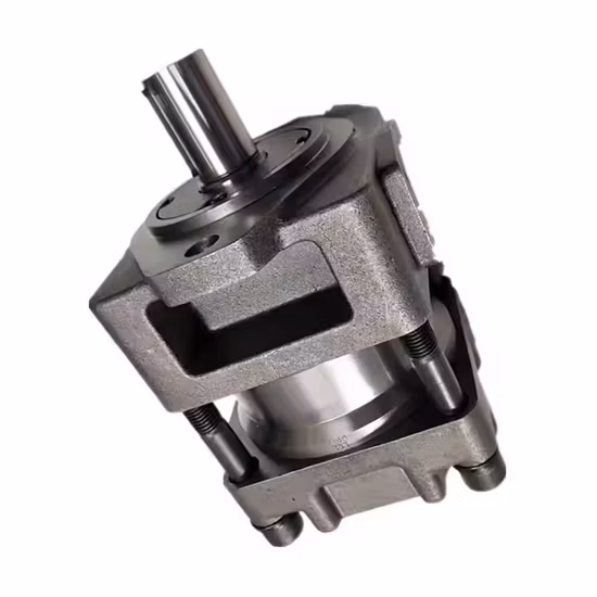 Qt53-40 Qt53-50 Qt53-63 Qt63-80 Qt63-100 Qt63-125, Bomba Hidráulica de Engrenagem Interna Sumitomo Qt