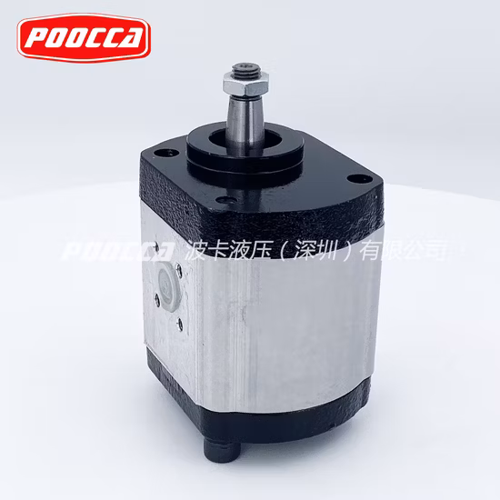 Bomba de Engrenagem Bosch Rexroth Série Azpf Azpf-LCP Azpf-11-019lnl Rexroth Bomba Hidráulica de Carga Externa