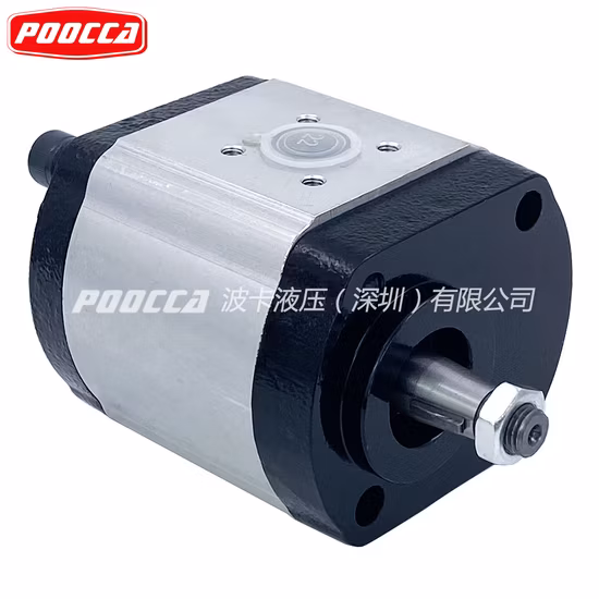 Bomba Hidráulica de Engrenagem Rexroth Azpf-LCP Azpf-11-019lnl 0510725167 Azpg-22-032rcb20MB Azpg Azpn Azpf Bomba Hidráulica de Engrenagem de Óleo Externo